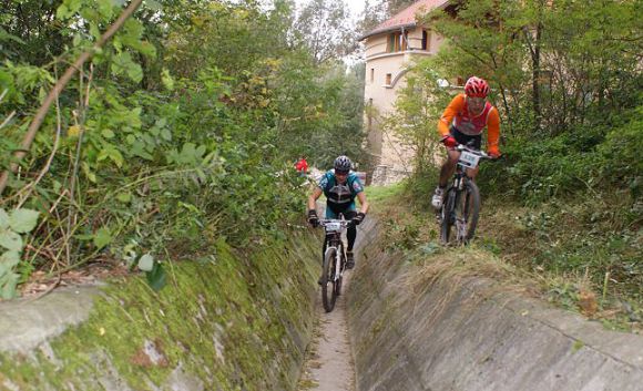 eletfa_terepfesztival_piliscsaba_2010_0003