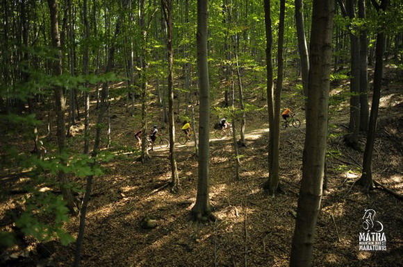 011ba57170761f5444ea8fd18e892e7b12467bd3