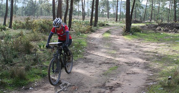 OPEN_ORI_BTT_DO_ATV4