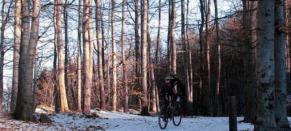 x2s_teli_triatlon_2008_0004