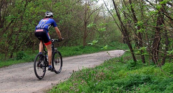 tajbringa_csutortoki_szeria_obudai_sziget