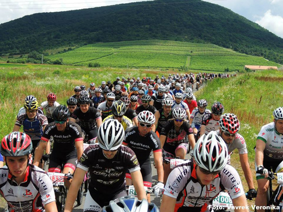 erdobenye_drotszamar_100