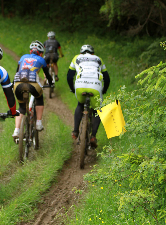 bartos_judit_szilvas