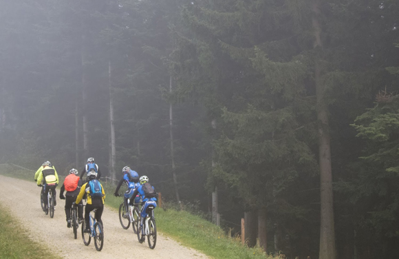 merkapt_szezonzaro_4