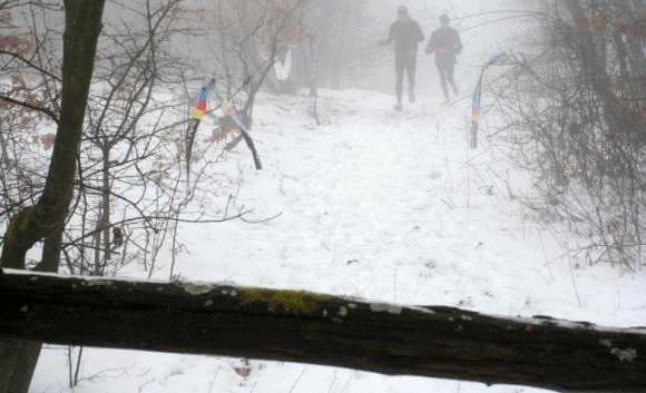 szentendrei_crossfutas2