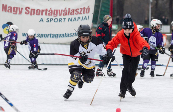 teli_sportagvalaszto_2017