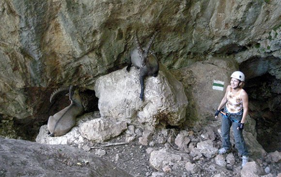 hohe_wand_hegymaszas_10