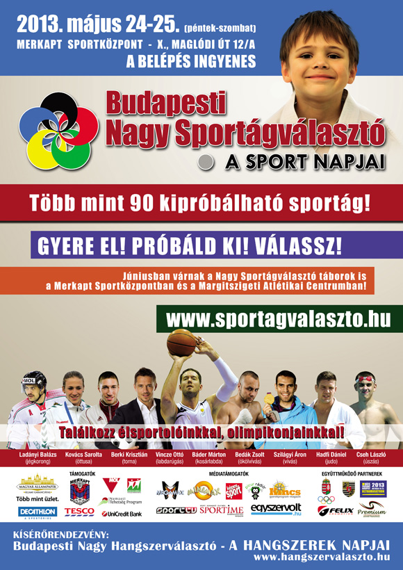 BNSV_plakat_2013